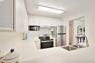 535 Pierce St, Albany, CA 94706 - Photo 33