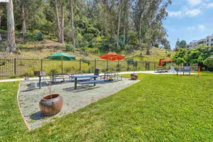 535 Pierce St, Albany, CA 94706 - Photo 43