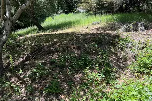 Beauforest Dr, Oakland, CA 94603 - Photo 1