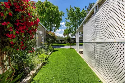 2368 Dalis Drive, Concord, CA 94520 - Photo 5