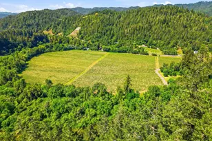11700 Oak Rd, Forestville, CA 95436 - Photo 19