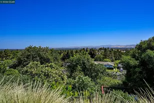 1034 Alfred Ave, Walnut Creek, CA 94597 - Photo 25