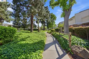 4011 Lana Terrace, Fremont, CA 94536 - Photo 49