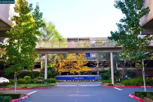 330 Civic Dr, Walnut Creek, CA 94596 - Photo 39