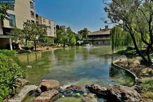 330 Civic Dr, Walnut Creek, CA 94596 - Photo 35