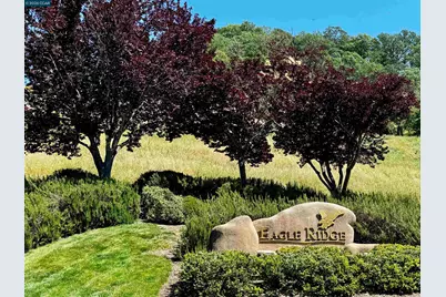 568 High Eagle Ct, Walnut Creek, CA 94595 - Photo 65