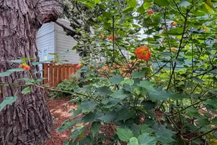 3754 Enos Ave, Oakland, CA 94619 - Photo 43