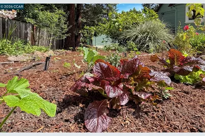 3754 Enos Ave, Oakland, CA 94619 - Photo 29
