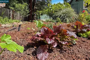 3754 Enos Ave, Oakland, CA 94619 - Photo 29