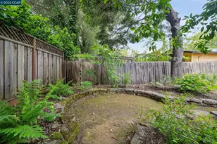 3375 Freeman Rd, Lafayette, CA 94595 - Photo 51