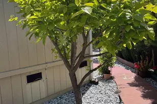 1291 Sussex Way, Hayward, CA 94544 - Photo 43