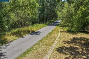 612 St Marys Rd, Lafayette, CA 94549 - Photo 37