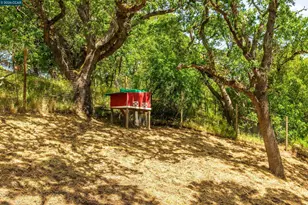 3348 Walnut Ln, Lafayette, CA 94549 - Photo 33