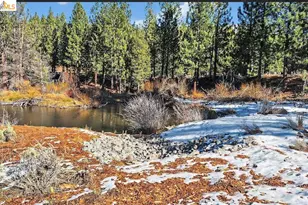 2524 Cattlemans Trail, South Lake Tahoe, CA 96150 - Photo 39
