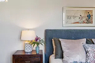 1643 Walnut St, Berkeley, CA 94709 - Photo 47