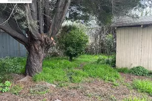 1024 50th Ave, Oakland, CA 94601 - Photo 11