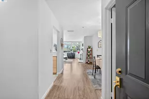 535 Pierce St, Albany, CA 94706 - Photo 5