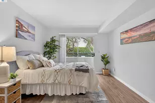 535 Pierce St, Albany, CA 94706 - Photo 41