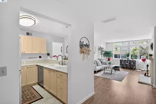 535 Pierce St, Albany, CA 94706 - Photo 13