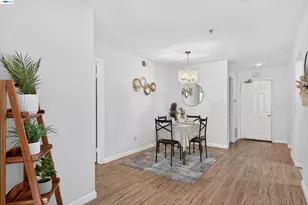 535 Pierce St, Albany, CA 94706 - Photo 23