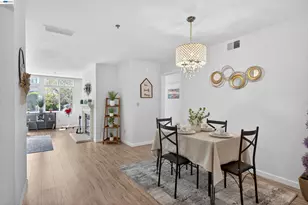 535 Pierce St, Albany, CA 94706 - Photo 25