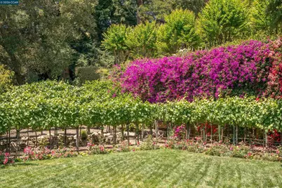 280 Indian Rd, Piedmont, CA 94610 - Photo 69