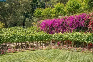 280 Indian Rd, Piedmont, CA 94610 - Photo 69
