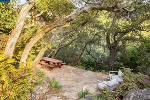 280 Indian Rd, Piedmont, CA 94610 - Photo 65