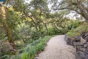 280 Indian Rd, Piedmont, CA 94610 - Photo 67