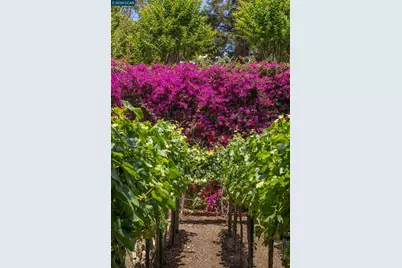 280 Indian Rd, Piedmont, CA 94610 - Photo 81