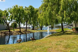 197 Lakeshore Ct, Richmond, CA 94804 - Photo 51