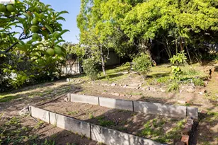 36 Highgate Rd, Kensington, CA 94707 - Photo 75