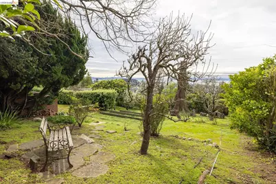 36 Highgate Rd, Kensington, CA 94707 - Photo 77