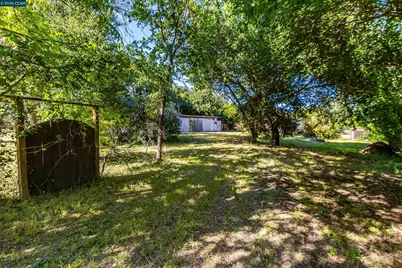 19317 Olive Ave, Sonoma, CA 95476 - Photo 5