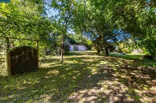 19317 Olive Ave, Sonoma, CA 95476 - Photo 5