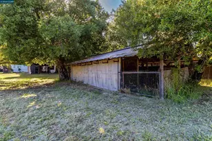 19317 Olive Ave, Sonoma, CA 95476 - Photo 15