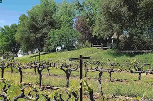 10580 Dickson Rd, Plymouth, CA 95669 - Photo 57