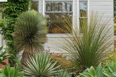 1733 Milvia, Berkeley, CA 94709 - Photo 3