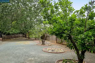 1016 Pine Hollow Ct, Clayton, CA 94517 - Photo 53