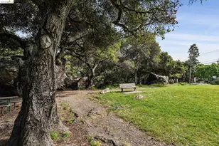 1915 Thousand Oaks Blvd, Berkeley, CA 94707 - Photo 67