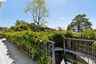 664 Vincente Ave, Berkeley, CA 94707 - Photo 43