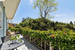 664 Vincente Ave, Berkeley, CA 94707 - Photo 25