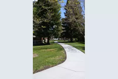 1626 Harlan Dr, Danville, CA 94526 - Photo 45