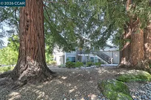 2175 Cactus Ct, Walnut Creek, CA 94595 - Photo 3