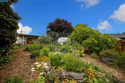 641 Donna Mae Ct, El Sobrante, CA 94803 - Photo 23