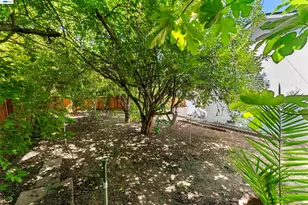 38811 Bonnie Wy, Fremont, CA 94536 - Photo 47