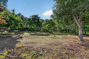 28 Rheem Blvd, Orinda, CA 94563 - Photo 33