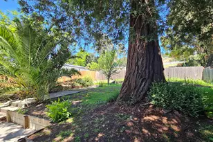 7856 Ney Ave, Oakland, CA 94605 - Photo 29