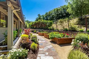 3336 Oak Ct, Lafayette, CA 94549 - Photo 5