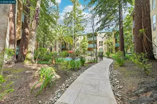 150 Sharene Ln, Walnut Creek, CA 94596 - Photo 39